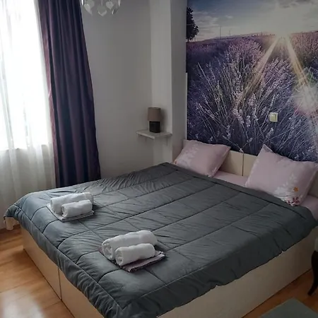 City Apartment Apartment *